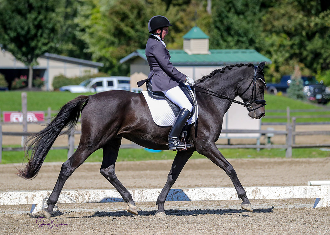 Picture of Suzanne competing w/her horse, Panax.